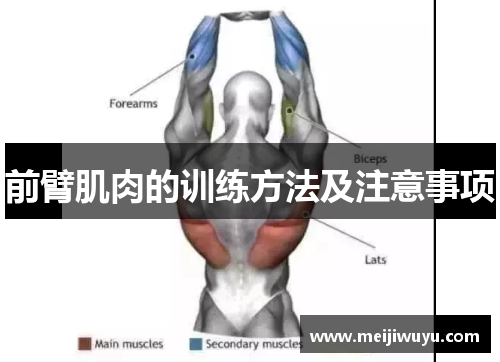 前臂肌肉的训练方法及注意事项