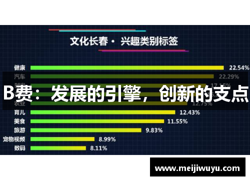 B费：发展的引擎，创新的支点